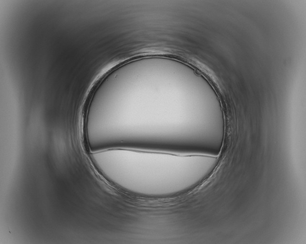 X0000116561179200912100937