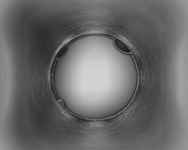 X0000116561181200912100937