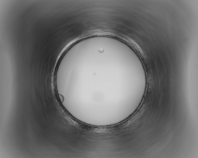X0000116561182200912100937