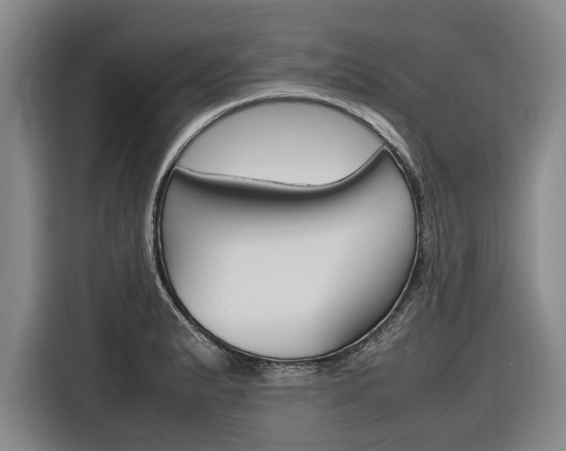 X0000116561183200912100937