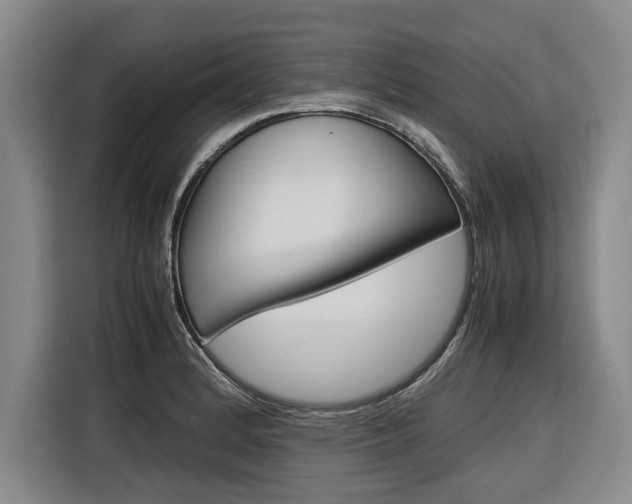 X0000116561184200912100937