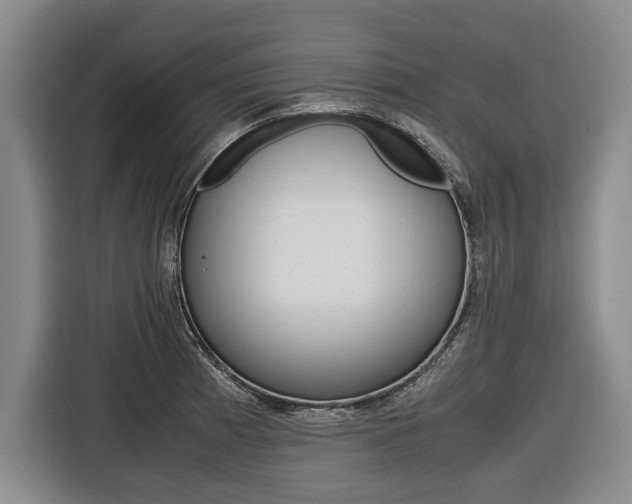 X0000116561185200912100937