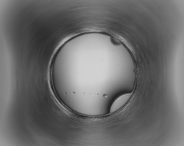 X0000116561187200912100937