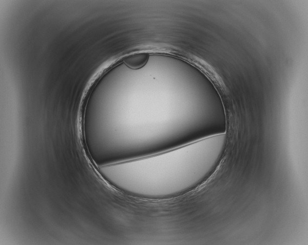 X0000116561188200912100937