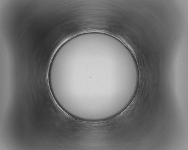 X0000116561189200912100937