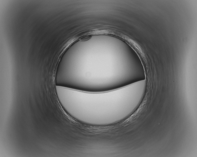 X0000116561193200912100937
