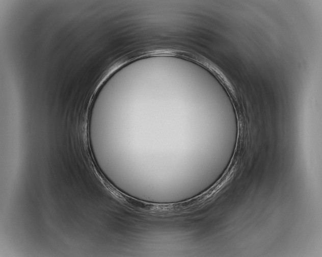 X0000116561194200912100937