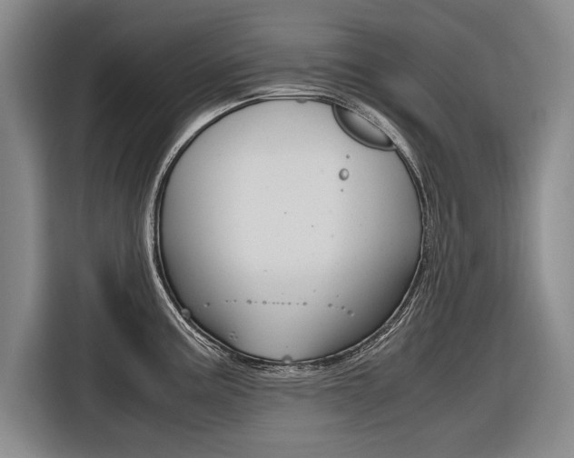 X0000116561195200912100937