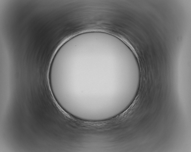 X0000116561197200912100937