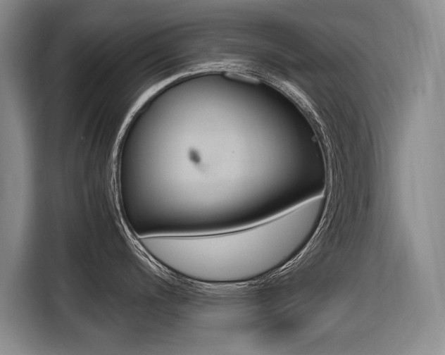 X0000116561200200912100937