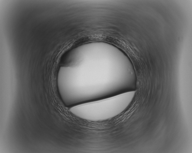 X0000116561201200912100936