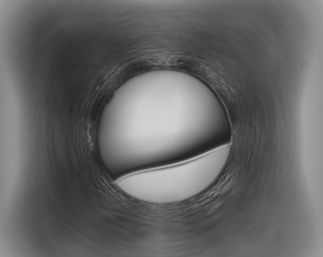 X0000116561202200912100936