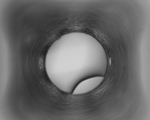 X0000116561203200912100936
