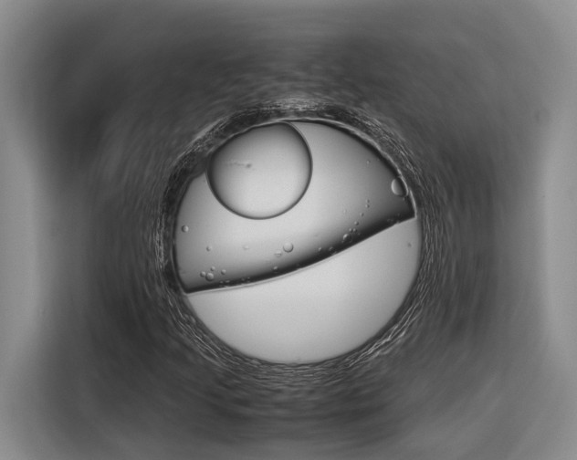 X0000116561205200912100936