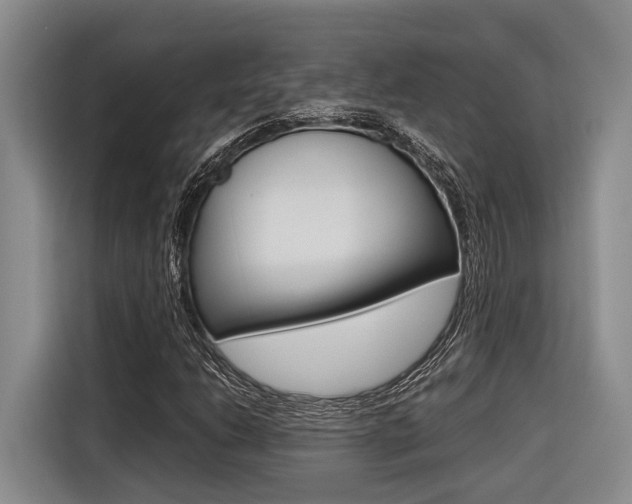 X0000116561206200912100936