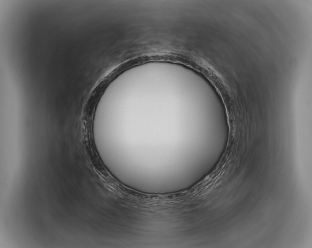 X0000116561208200912100936