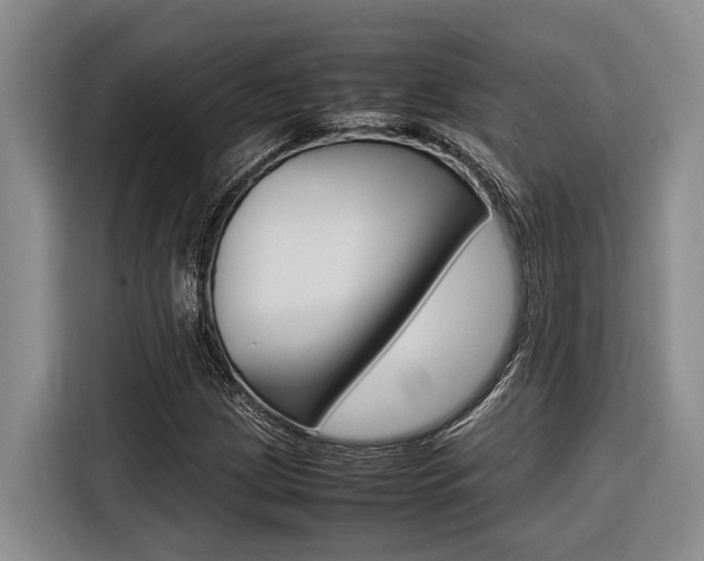 X0000116561209200912100936