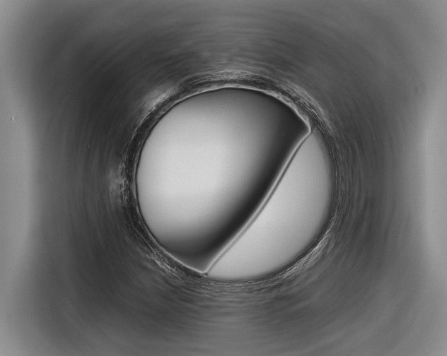 X0000116561210200912100936