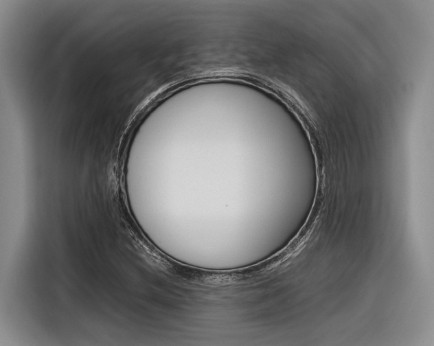 X0000116561212200912100936