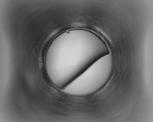 X0000116561213200912100937