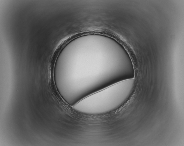 X0000116561214200912100937