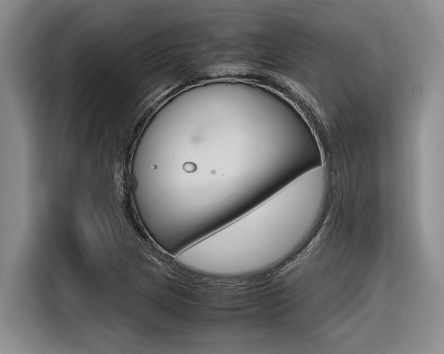 X0000116561217200912100937