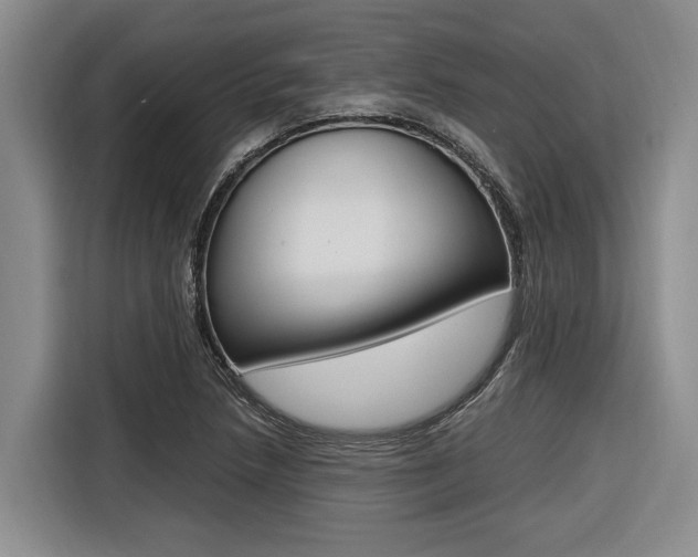 X0000116561218200912100937