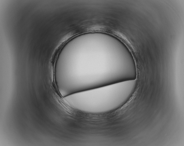X0000116561219200912100937