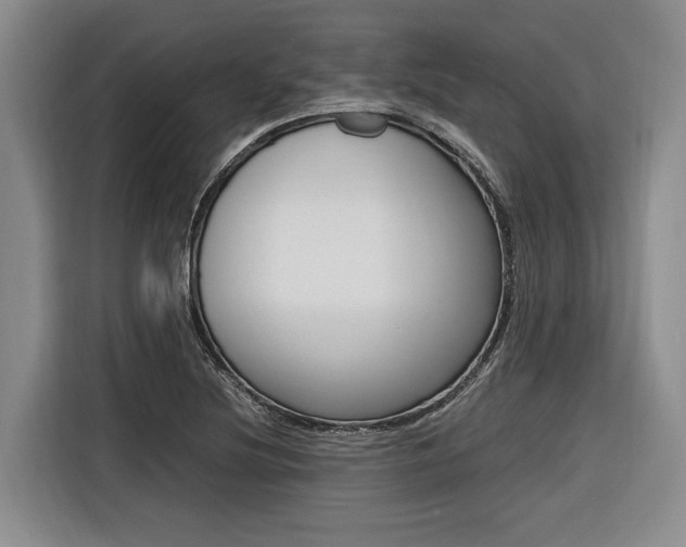 X0000116561220200912100937