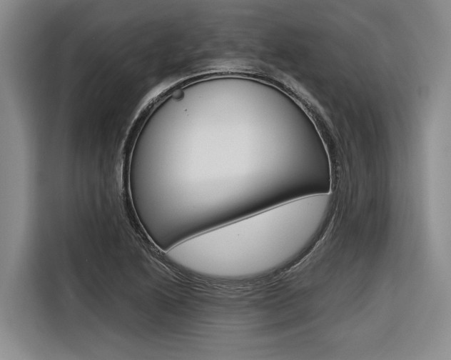 X0000116561222200912100937