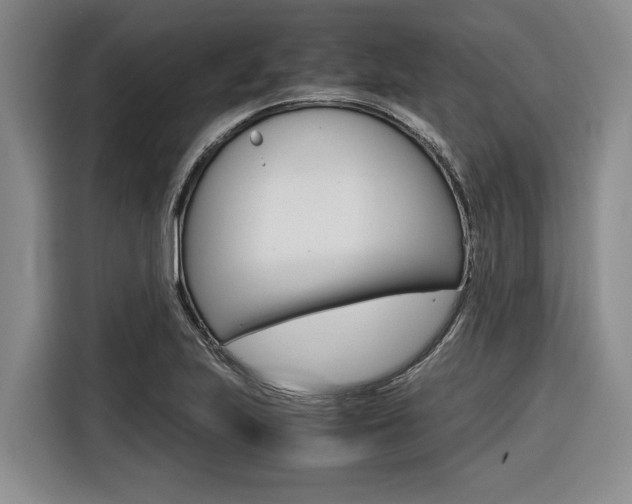 X0000116561223200912100937