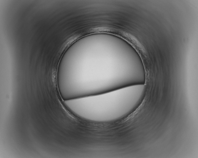 X0000116561225200912100937