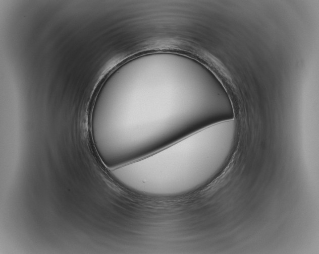 X0000116561226200912100937