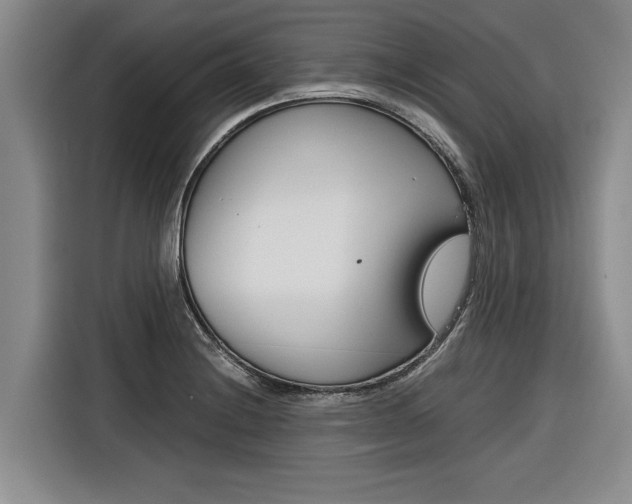 X0000116561228200912100937