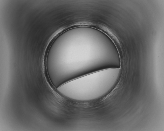 X0000116561229200912100937