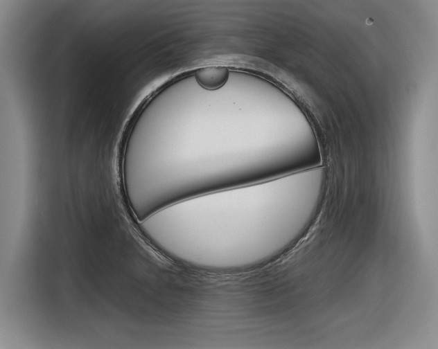 X0000116561230200912100937