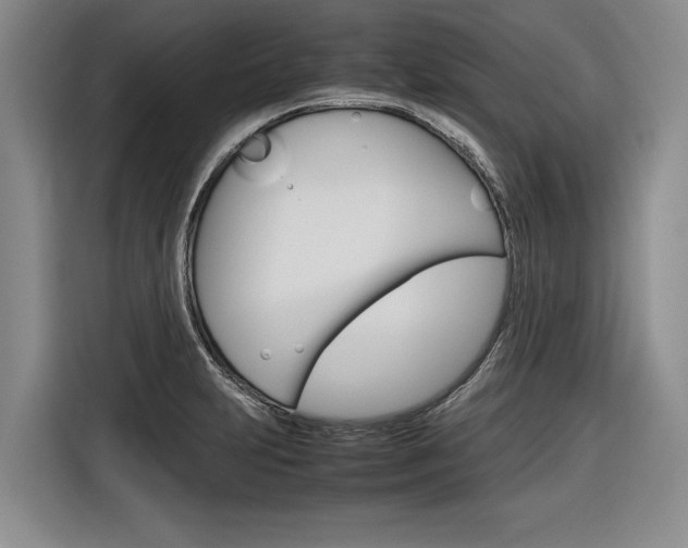X0000116561231200912100937