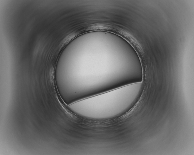 X0000116561233200912100937