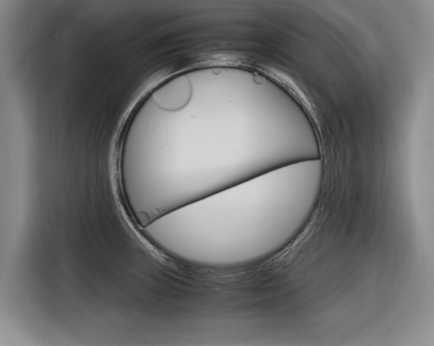 X0000116561235200912100937