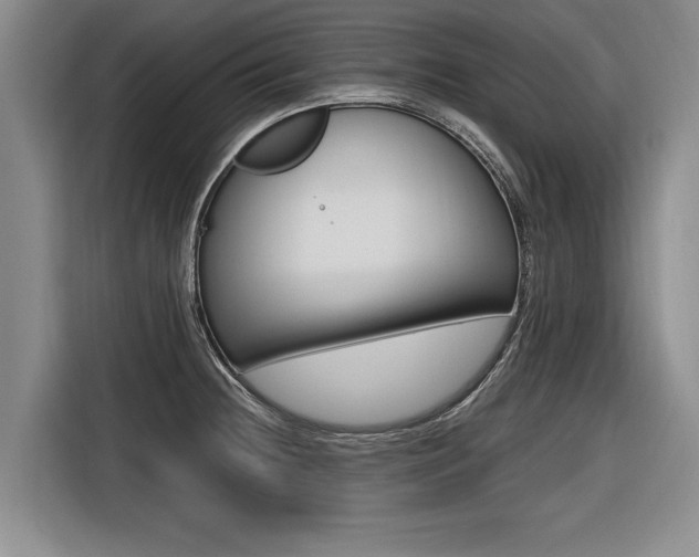 X0000116561236200912100937