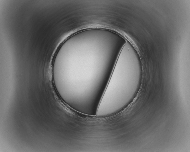 X0000116561238200912100937