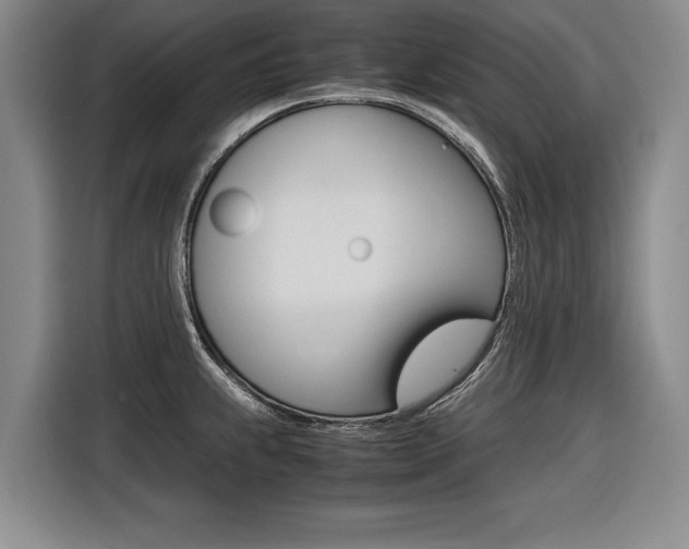 X0000116561239200912100937