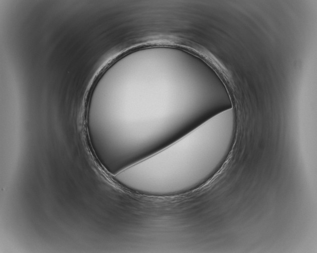 X0000116561240200912100937