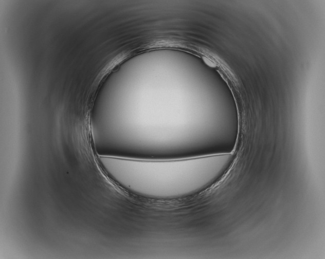 X0000116561241200912100937