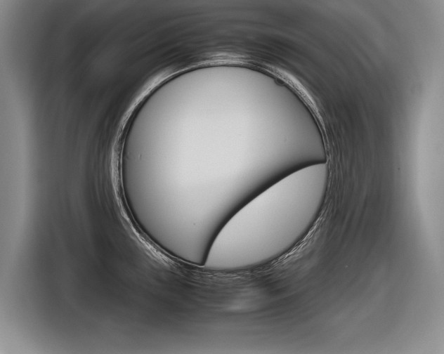X0000116561243200912100937