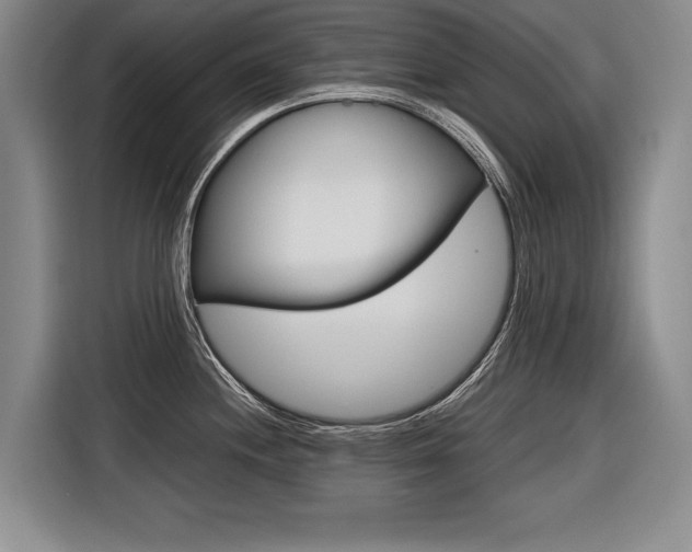 X0000116561244200912100937