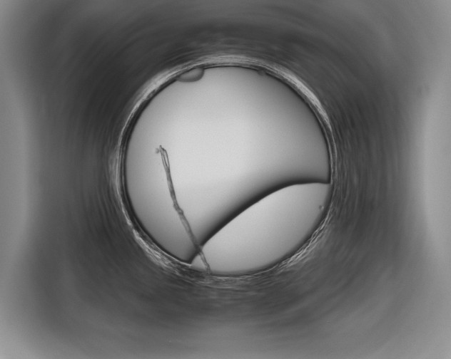 X0000116561245200912100937