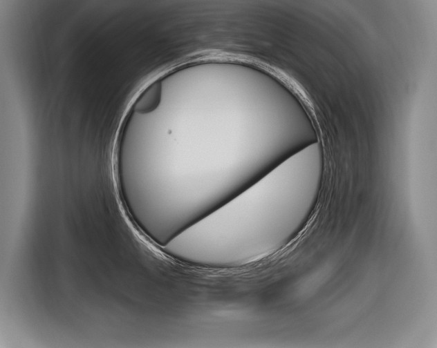 X0000116561247200912100937