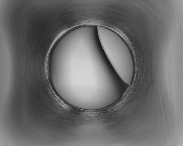 X0000116561248200912100937