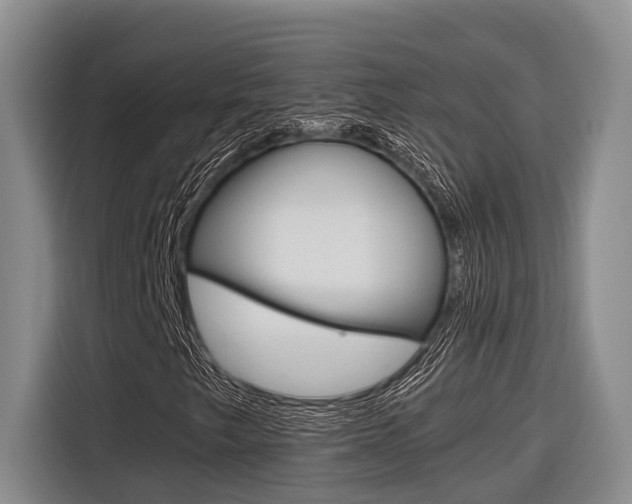 X0000116561249200912100936